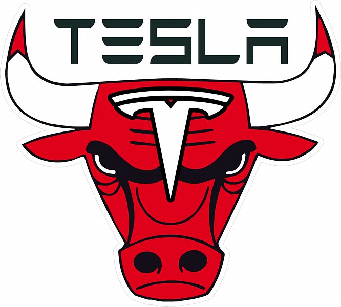 TESLA BUS STICKER - Pro Sport Stickers