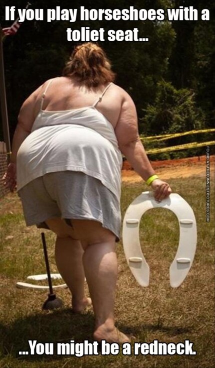 horseshoes with a toilet seat redneck sticker
