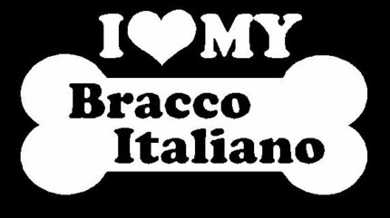 I Love My Bracco Italiano
