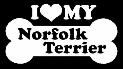 I Love My Norfolk Terrier