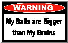 My Balls are Bigger than My Brains Funny Warning Sticker Set
