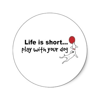Play With Your Dog Sticker
