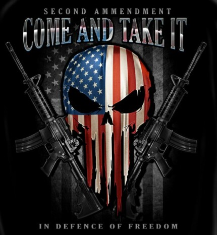 PUNISHER COME AND TAKE IT PATRIOTIC STICKER