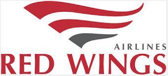 Red Wings airline logo sticker