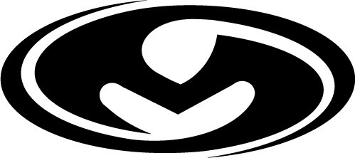 Skateboard Logo Sticker
