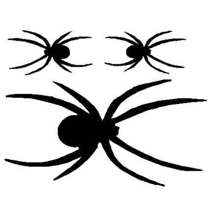 Spider Decal 3