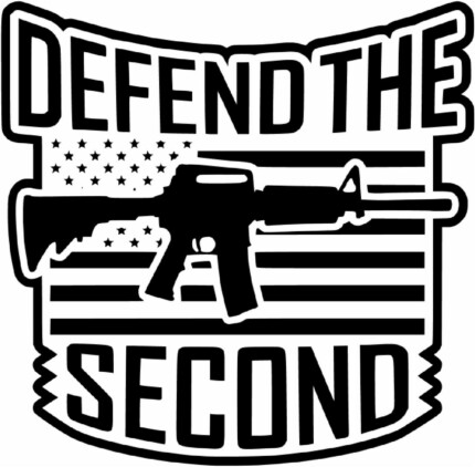defend-the-second-amendment-decal-shoot-rifle