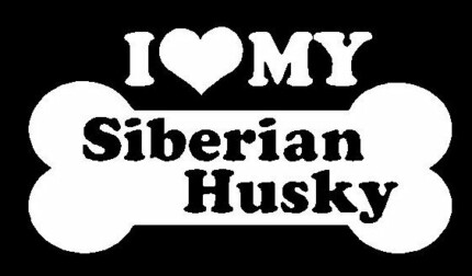 I Love My Siberian Husky