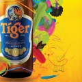Tiger Beer Energy Sticker 2