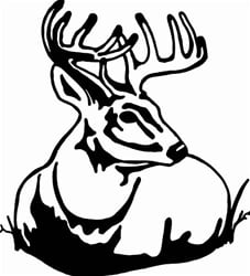 Diecut Deer Sticker