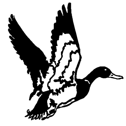 Duck Decal