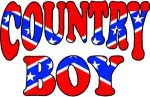 COUNTRY BOY REBEL FLAG FILL STICKER 2