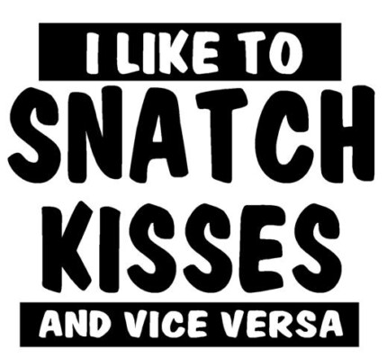 I Like To Snatch Kisses Vinyl Car Decal