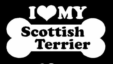 I Love My Scottish Terrier