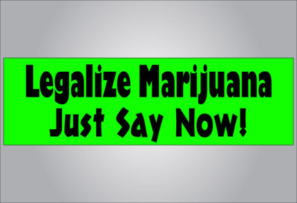 legalize marijuana just say now bumper sticker