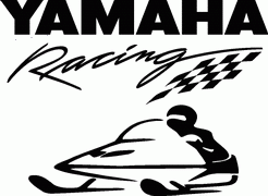 Snowmobile Decals 9