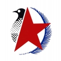 Vintage Air Lines Logo