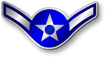 Air Force Wings and Star Patch Color Sticker 2