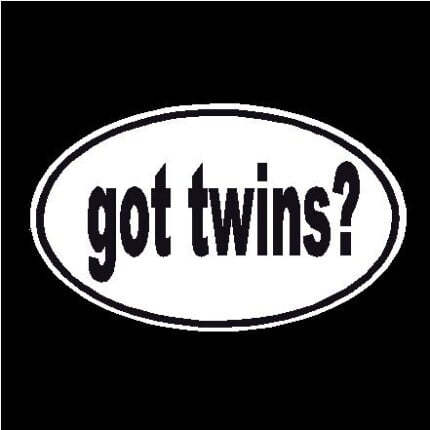 Got Twins Oval Decal