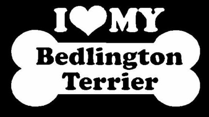 I Love My Bedlington Terrier