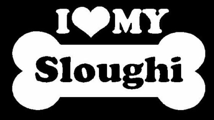 I Love My Sloughi