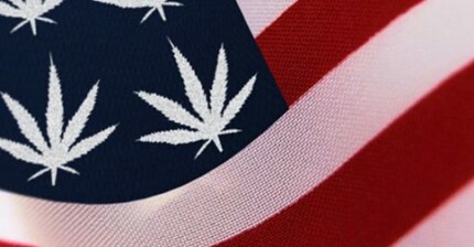 In Weed We Trust USA Flag  Design Sticker