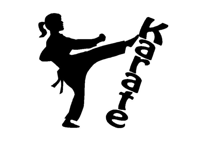 Karate Girl Decal 2