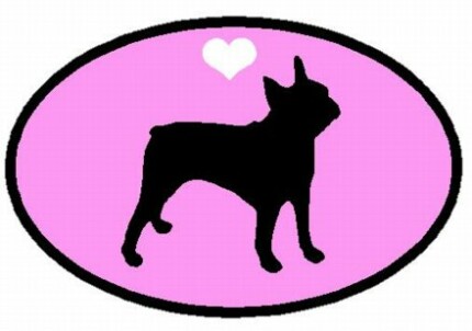 Oval Boston Terrier Decal PINK