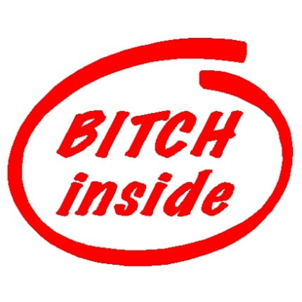 Bitch Inside Decal - 809