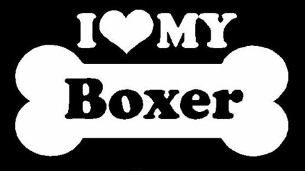 I Love My Boxer