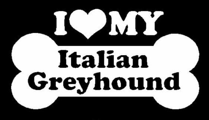 I Love My Italian Greyhound