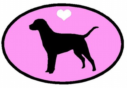 Oval Labrador Retriever Decal PINK - Pro Sport Stickers