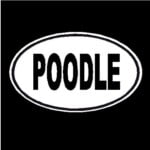 Poodle Oval Dog Decal