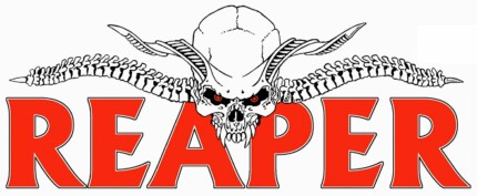 reaper skull logo sticker