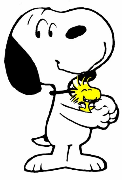 SNOOPY and Woodstock Peanuts Gang Sticker 15