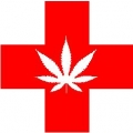 the original medical marijuana logo diecut decal