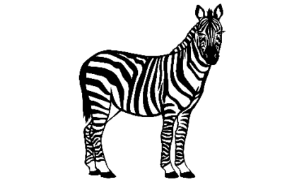 022 Zebra Decal