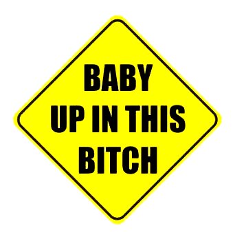 Baby Up In This Bitch Vinyl Car Sticker