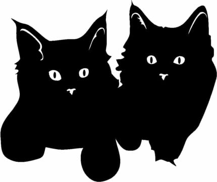 Cat Cats Animal Animals Vinyl Decal Sticker 10
