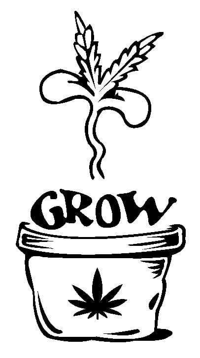 Grow Weed Sticker