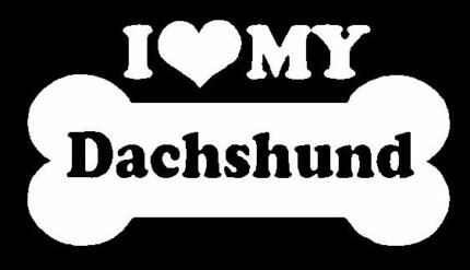 I Love My Dachshund