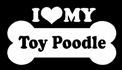 I Love My Toy Poodle
