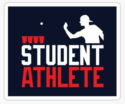 BEER PONG STUDENT ATHLETE FUNNY BEER STICKER