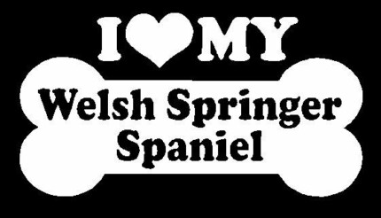 I Love My Welsh Springer Spaniel
