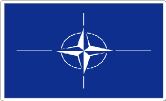 NATO Flag Sticker