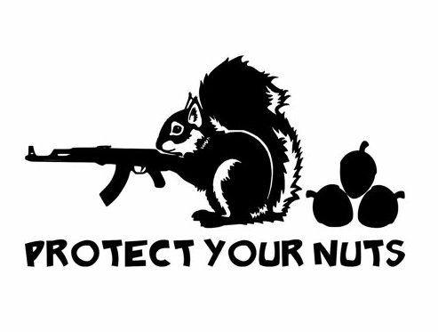PROTECT YOUR NUTS 2 DECAL