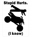Stupid Hurts Sport Quad Sticker Pack