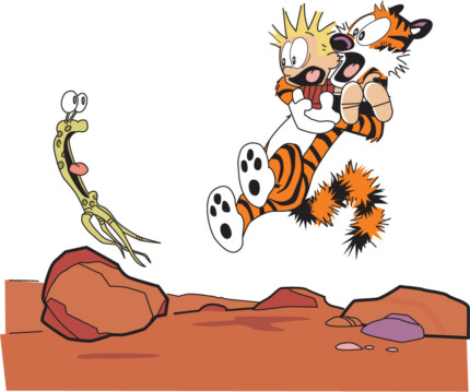Calvin and Hobbes Rectangular Color Stickers 08