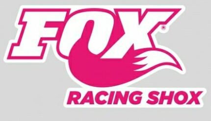 F Racing-Shox-Pink-Tall-Decal 2