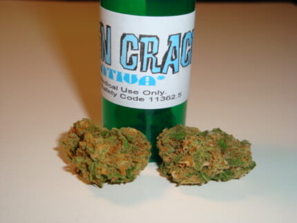 Green Crack Herbal Solutions Bud Decal